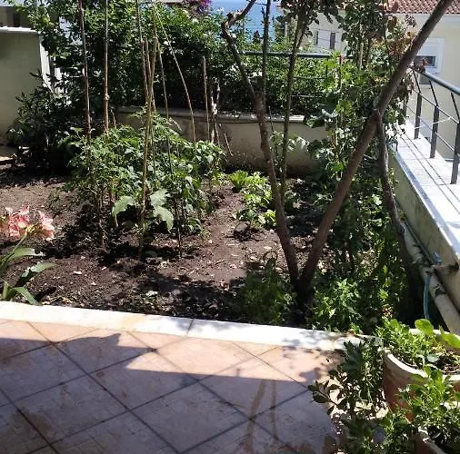 Niki House Βόλος