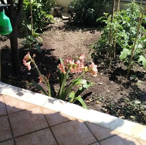 Διαμέρισμα Niki House *