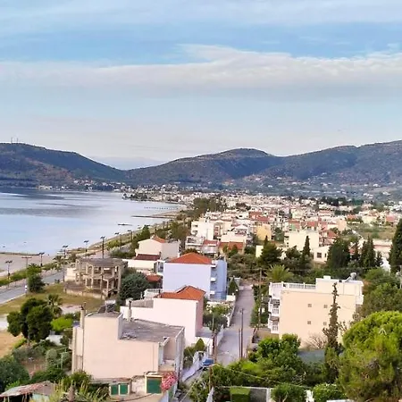 Niki House アパート *