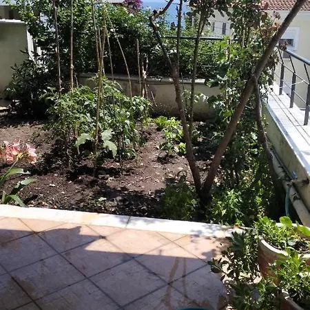 Niki House Волос