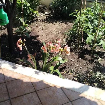 Апартаменты Niki House *