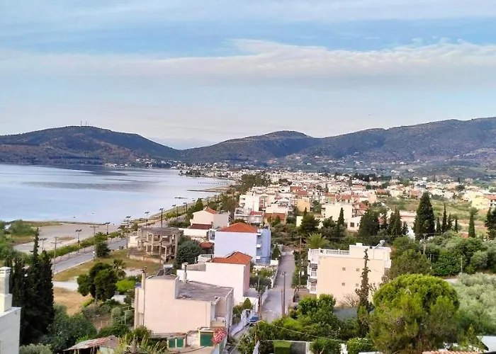 Niki House アパート *